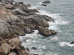 -广东惠东海龟国家级自然保护区