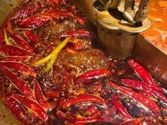 -小龙翻大江文化火锅(宽窄店)