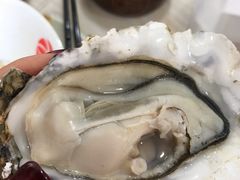 -九道菜有鸡鱼头(石鼓路店)