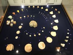 -青岛贝壳博物馆