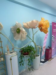 -斐尔国际皮肤管理中心