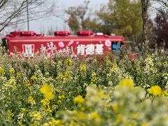 -苏州上方山国家森林公园