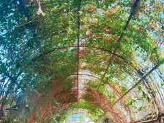 -The Grounds of Alexandria