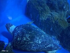 -成都浩海立方海洋公园