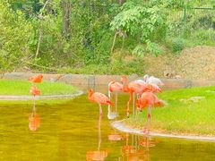 -杭州野生动物世界