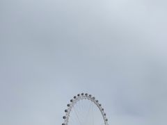 -日照海滨国家森林公园