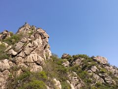 -大岭沟猕猴桃谷风景区