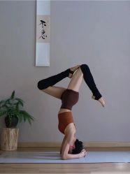 -卡莫瑜伽·普拉提