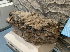 -延庆地质公园博物馆