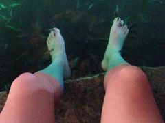 -宝丽金大酒店·洗浴中心