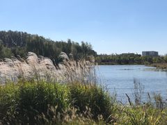 -东郊湿地公园