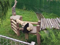 -沈阳森林动物园