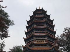 -铁山坪森林公园