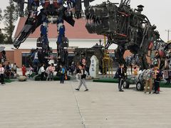 -上海长兴岛郊野公园