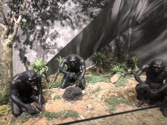 -北京周口店北京人遗址博物馆