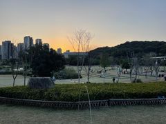-牛岗山公园