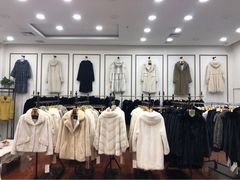 -肃宁华斯国际裘皮城