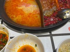 -朱光玉火锅馆(正弘城店)