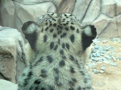 -青藏高原野生动物园