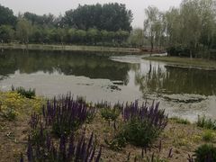-东郊湿地公园
