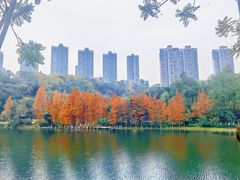 -重庆彩云湖湿地公园