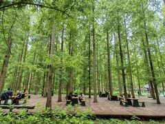 -黄海国家森林公园