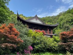-十八棵（老龙井）御茶园(老龙井店)