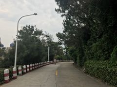 -狐尾山公园