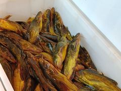 -江湖水乡铁锅炖魚(周庄嘉园店)