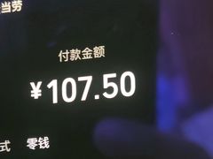 -麦当劳(三亚凤凰机场店)