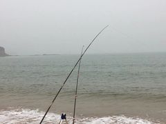 -烟墩角天鹅湖