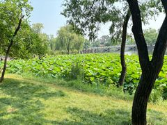 -承德避暑山庄景区