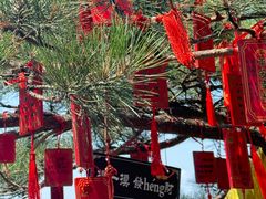 -天津盘山风景名胜区