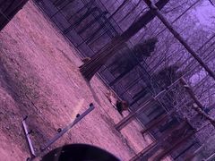 -秦皇岛野生动物园