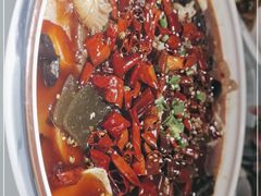 -雲蜀龙阁·金牌水煮鱼(方庄店)