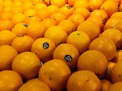 -全而廉(靖宇中路店)