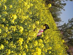 -古柏渡飞黄旅游区