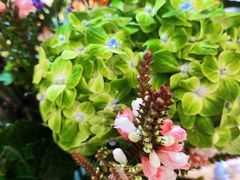 -今日陶艺(富力广场店)