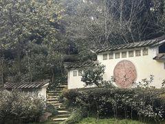-南山植物园
