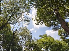 -成都老君山