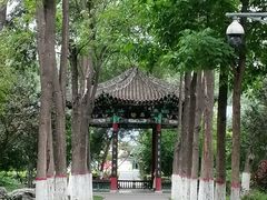-西宁市人民公园(城西区)