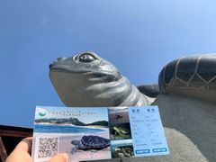 门面-广东惠东海龟国家级自然保护区