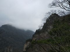 -牛背梁国家森林公园