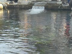 -百脉泉景区