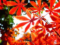 景点-西安汉城湖景区