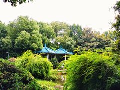 -赭山公园