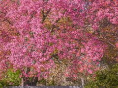 -天龙八部武侠城