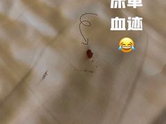 -顺德君豪酒店(佛山容桂渔人码头店)