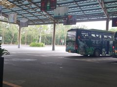 -呀诺达热带雨林