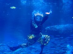 -海合安成都极地海洋公园